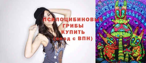 не бодяженный Верхний Тагил