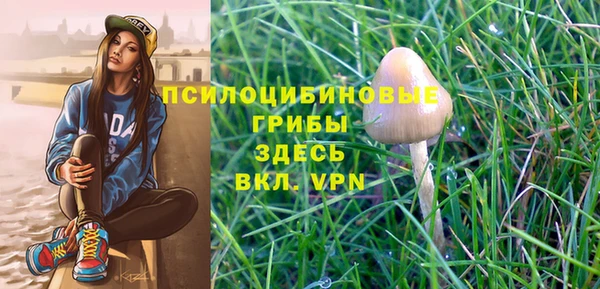 ECSTASY Верея