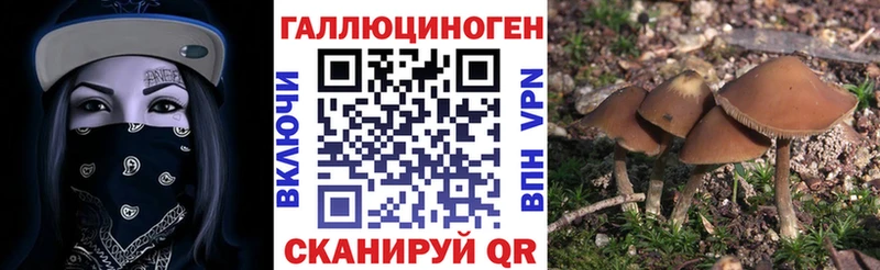 Галлюциногенные грибы Magic Shrooms blacksprut ССЫЛКА Вуктыл цена наркотик